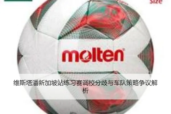 维斯塔潘新加坡站练习赛调校分歧与车队策略争议解析